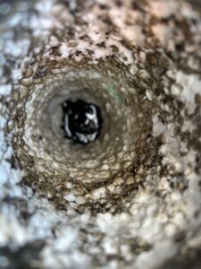 IMG_0342