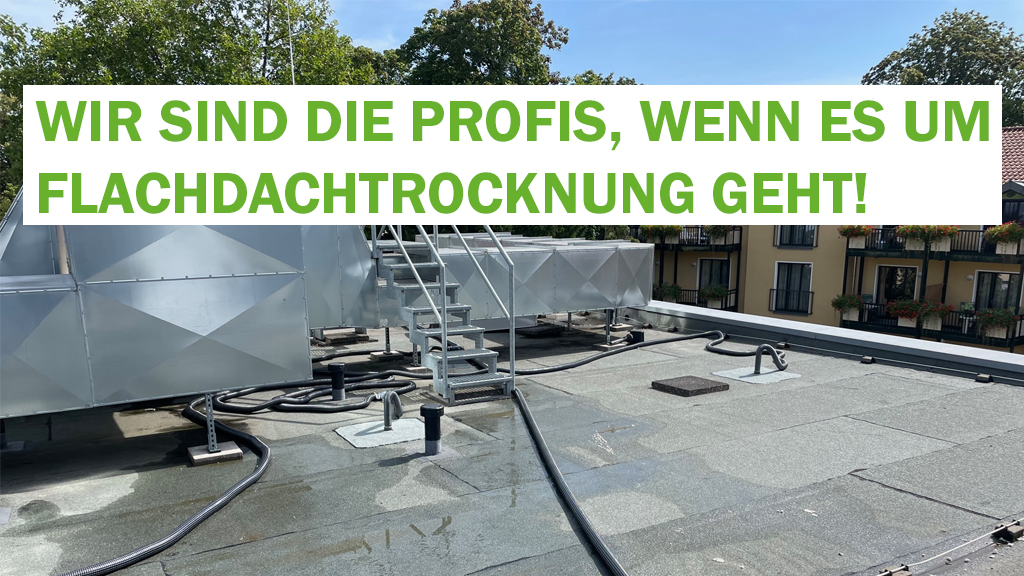 flachdachtrocknung_bad_fallingbostel